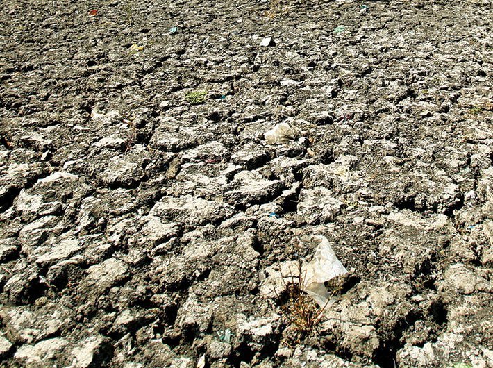 No compliance yet of SC order on drought-affected states
