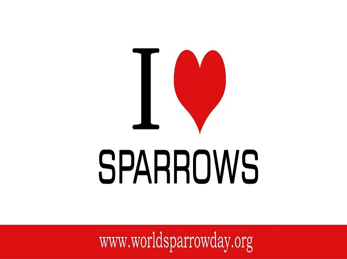 Theme of world sparrow day 2015