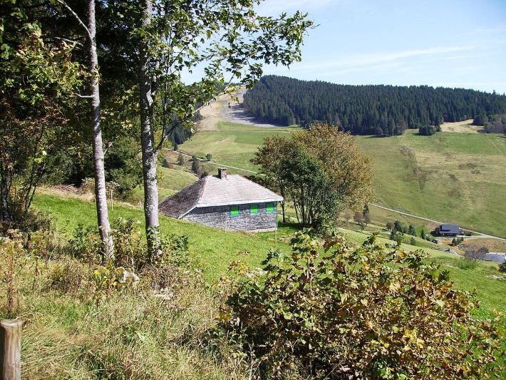 German philosopher Martin Heidegger`s hut in Black Forest, Germany: the ideal place to be for the Being. (Image: via Creative Commons: https://commons.wikimedia.org/wiki/File:Heideggerrundweg0009.JPG) 