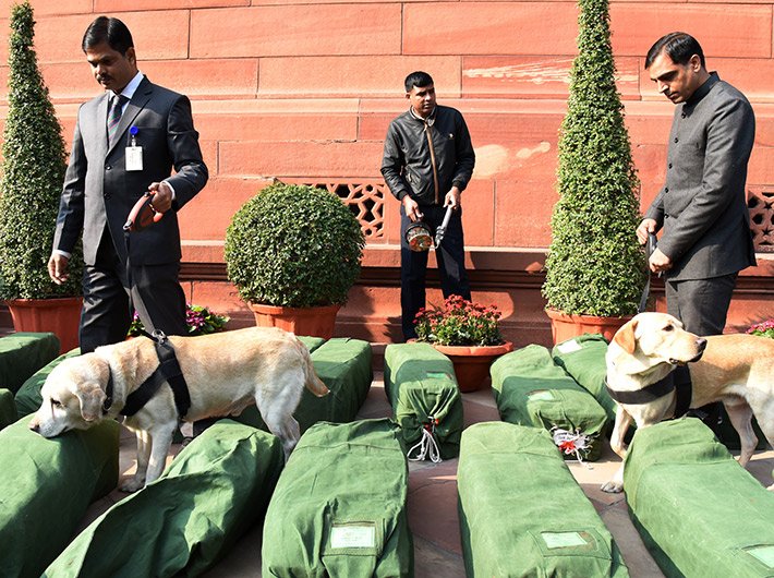 Sniffer dogs check the bundles of the budget documents in the parliament complex ahead of the budget presentation.