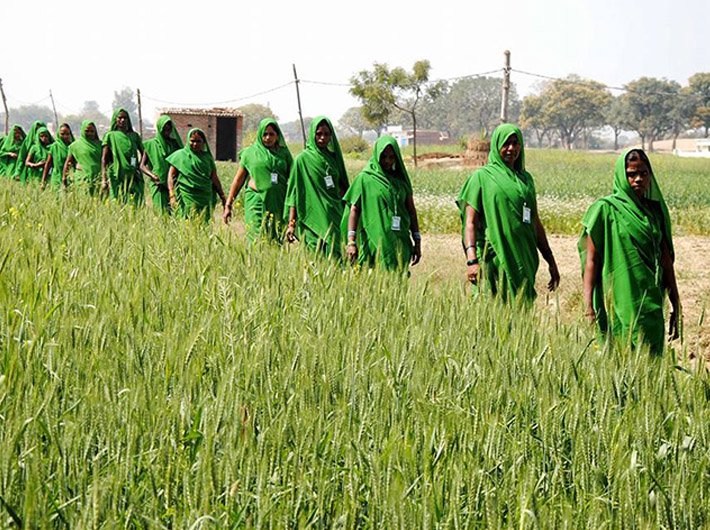 Members of Green Gang in Khushiyari village