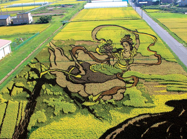 The paddy art that has helped revitalise the Inakadate village economy.
