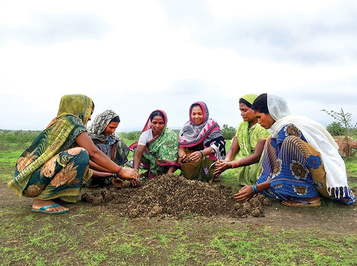 Women preparing grass seed balls in Khalaudi village. (Photo: Archana Mishra)
