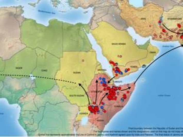 The FAO image of the desert locust global forecast for July 2020