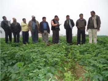 Top officials, including district agriculture officer Sudama Mahto and district horticulture officer DN Mahto inspect an organic zone in Sohdih village of Biharsharif.
