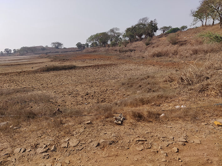 Panje wetland goes dry on and off as water flow is blocked by vested interests. (Photo courtesy: BN Kumar, NatConnect Foundation)