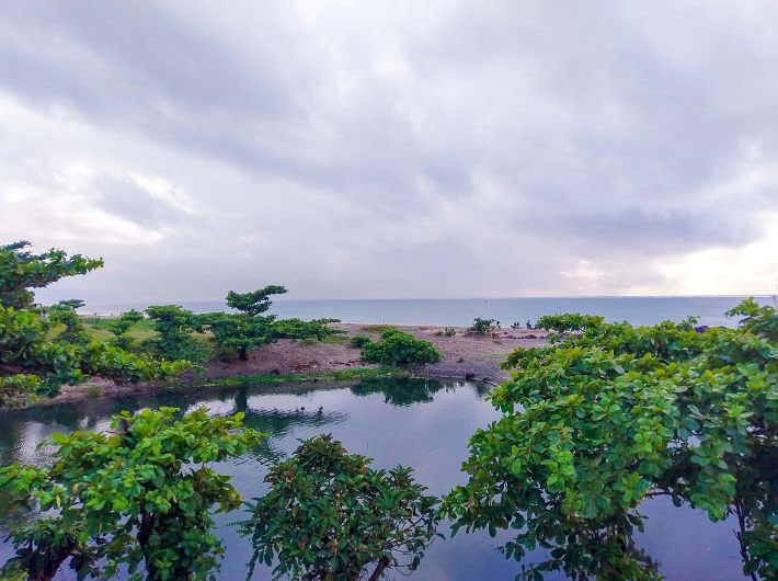 (Photo: Courtesy https://commons.wikimedia.org/wiki/File:Africa_nature_16.jpg)
