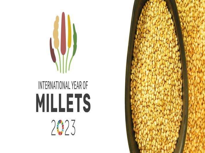 Millets to make comeback in army ration after half a century