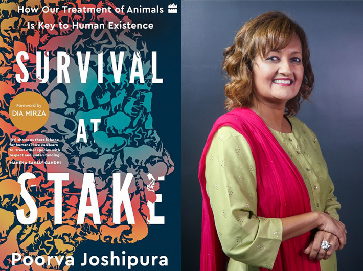 “I wrote ‘Survival at Stake’ to provide food for thought about solutions”
