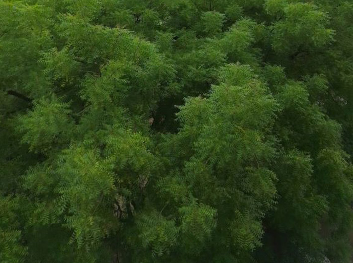 (File photo: Governance Now, for representation only)