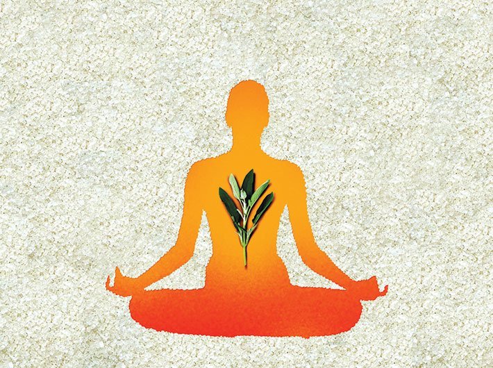 How to cultivate the art of meditation